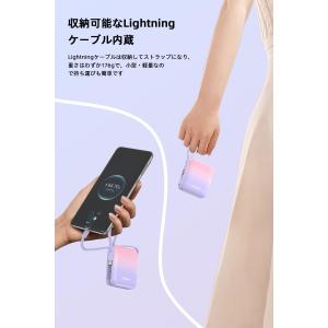 Philips (フィリップス) モバイルバッ...の詳細画像5