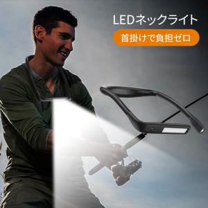PAUL&JOE Philips(フィリップス) led ライト 小型懐中電灯 強力 PAUL&JOE Philips(フィリップス) led ライト 小型懐中電灯 強力