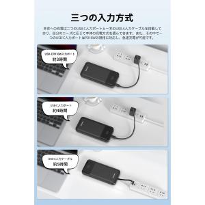 Philips (フィリップス) モバイルパッ...の詳細画像5