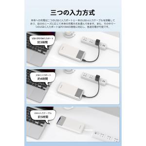 Philips (フィリップス) モバイルパッ...の詳細画像5