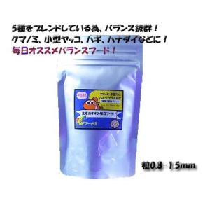 THEフードサイズS50g