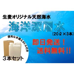 生麦海水魚ヤフー店 天然海水 人工 天然海水 ミネラル水 Yahoo ショッピング