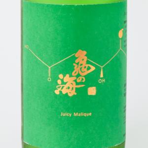 お中元ギフト 亀の海 JUICY MALIQUE(ジューシーマリック) 720ml 土屋酒造 お中元 ギフト お酒 日本酒 夏酒