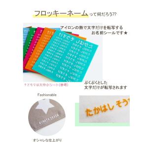 フロッキーネーム 大サイズ 24個 送料無料 ...の詳細画像1