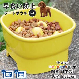 早食い防止 フードボウル 犬 猫 陶器 おしゃれ 日本製 食器 名入れ ペット 犬用 猫用 送料無料 高台カラー フードボウル 【中】 全10色 あすつく