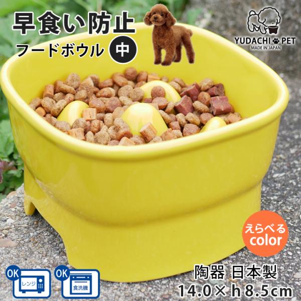 早食い防止 フードボウル 犬 猫 陶器 おしゃれ 日本製 食器 名入れ ペット 犬用 猫用 送料無料...