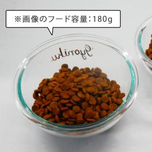フードボウル 犬 猫 ペット 食器 陶器 日本...の詳細画像4