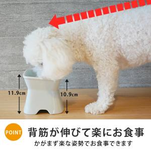 凹みロゴ アルファベットnameが入る 高台傾...の詳細画像5