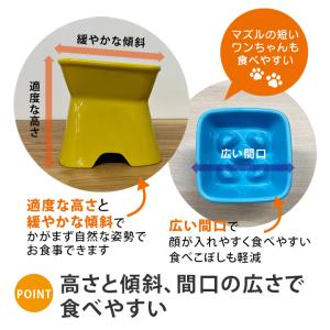 凹みロゴ アルファベットnameが入る 高台傾...の詳細画像4