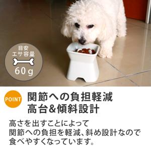 凹みロゴ アルファベットnameが入る 高台傾...の詳細画像1
