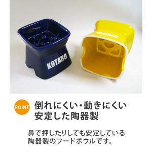 凹みロゴ アルファベットnameが入る 高台傾...の詳細画像2