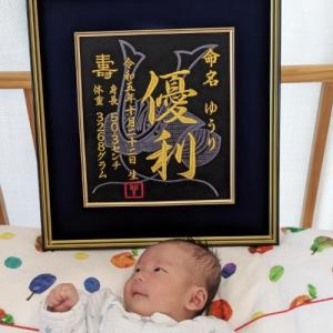 大兜 刺繍命名額 命名書 刺繍 出産祝い お祝...の詳細画像5