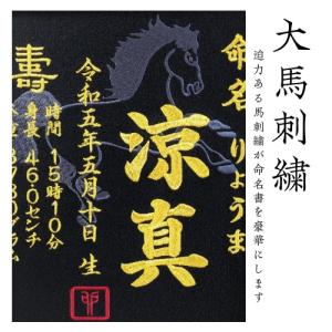 大馬刺繍命名書 刺繍 刺繍命名額 命名書 刺繍...の詳細画像4