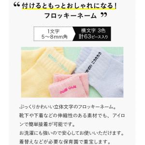 フロッキーネーム 3色セット 強力洗濯耐性 お...の詳細画像2