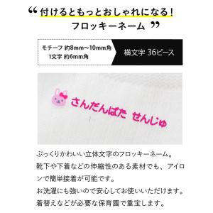 ワンポイントカラーフロッキー 強力洗濯耐性お名...の詳細画像2
