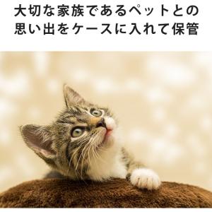 ペット 毛玉 爪 乳歯 ケース メモリアルケー...の詳細画像2