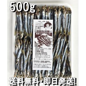 めざし 小or極小 500g 九州産 うるめいわし丸干し 目抜きウルメ うるめいわし 丸干し いわし丸干し イワシ ウルメ丸干し めざし 目刺し 乾燥 メザシ｜namibrandstore