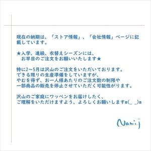 お名前ワッペン ロゴ風 ひらがな アルファベッ...の詳細画像4