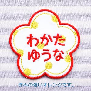 HANA アイロン接着のお名前ネームワッペンの詳細画像1
