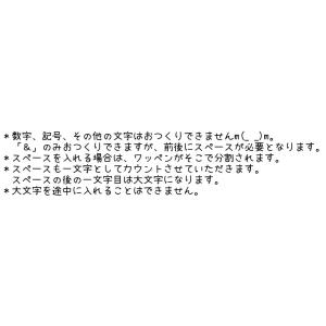 アルファベットのお名前ワッペン 5文字まで セ...の詳細画像4