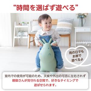 おもちゃ 赤ちゃん 乗用玩具 1歳 誕生日 プ...の詳細画像5