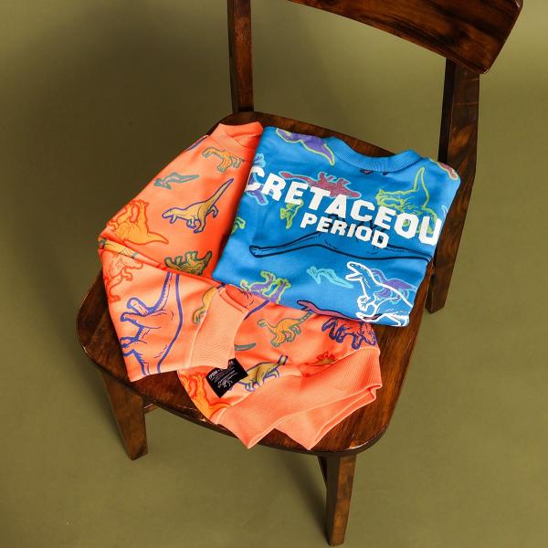 トレーナー キッズ 恐竜博物館 子供服 男の子 ブリーズ ブランド スウェット 秋 冬 140cm ...