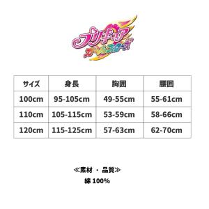プリキュア ショーツ 2枚組 子供 下着 女の...の詳細画像4