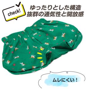 3枚セット トランクス キッズ 下着 男の子 ...の詳細画像4