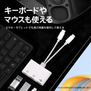3in1 SDカードリーダー Type-C L...の詳細画像4