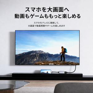 Type-C HDMI 変換 4K 60Hz ...の詳細画像2