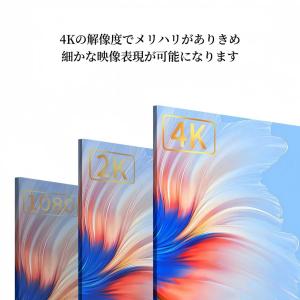 HDMIケーブル 4K 0.5m 2.0規格 ...の詳細画像3