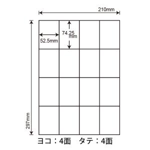 C16S(L) ラベルシール 1袋 100シー...の詳細画像1