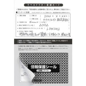 PPE-3(L) 個人情報保護シール 1袋 100枚 84×53mm 貼り直し可能 目隠しラベル 必要箇所目隠しタイプ 地紋印刷入 簡易タイプ PPE3