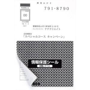 PPE-4(L) 個人情報保護シール 貼り直し可能 目隠しラベル はがき半面タイプ 100枚 地紋印刷入り目隠しシール 簡易タイプ 93×75mm｜nana