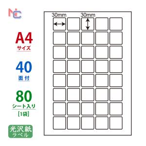 SCL-71 耐水光沢紙ラベル 80シートの買取情報