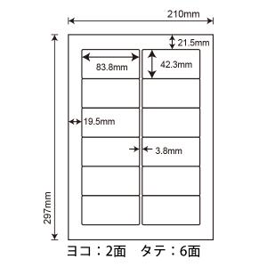 WP01202(L) ラベルシール 1袋 10...の詳細画像1