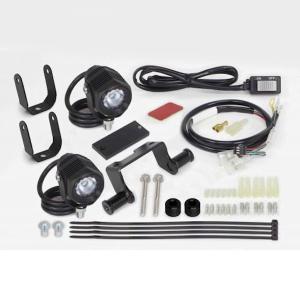 スペシャルパーツ武川 武川 05-08-0539 LEDフォグランプキット3.0(950