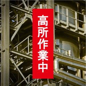 名入れ 名前入れ 社名 特注 オリジナル 懸垂...の詳細画像1