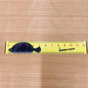 メジャー 釣り用メジャー 魚 釣り具 フィッシ...の詳細画像4