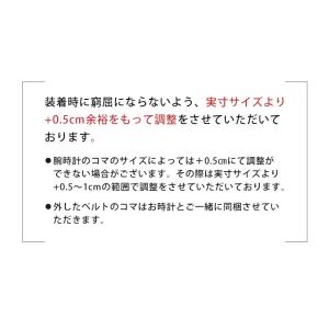 腕時計 ベルト サイズ調整の詳細画像4