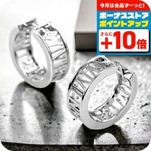 シルバーアクセサリー ピアス メンズ・レディース シルバー