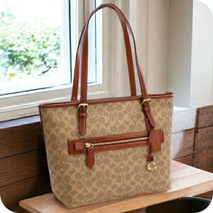 COACH（コーチ） バッグ カーフレザー スモール ニーナ C ロゴ 3D