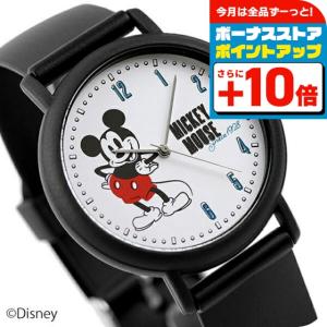 東京ディズニーランド 10周年記念 1993年 キャスト限定 腕時計 ケース