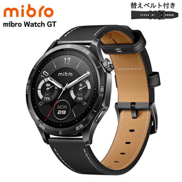 ミブロ Watch GT ダークターニッシュ 充電式クォーツ スマートウォッチ ブランド メンズ B...