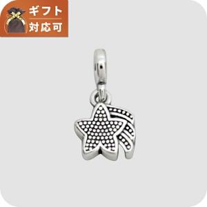 パンドラ　シルバー　クリップ　チャーム パンドラ クリップチャーム ブレスレット レディース シルバー
