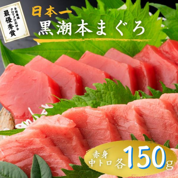 最優秀賞受賞 黒潮本まぐろ 赤身・中トロ 各150g セット 高知 土佐 大月町 冷凍 養殖 本鮪 ...