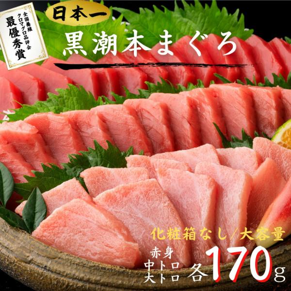 【化粧箱なし割引】最優秀賞受賞 黒潮本まぐろ 赤身・中トロ・大トロ 各170g セット 高知 土佐 ...