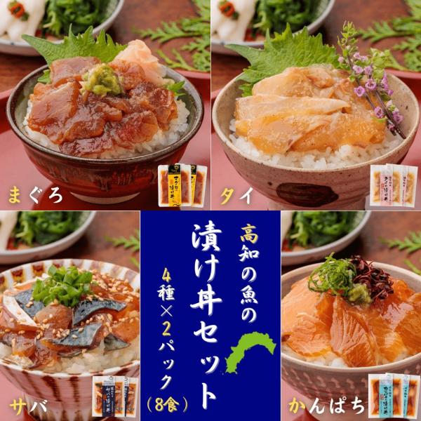 魚の漬け丼セット（4種×各2パック）8食分 送料無料 高知 宇佐もん工房 海鮮丼 タイ マグロ カン...