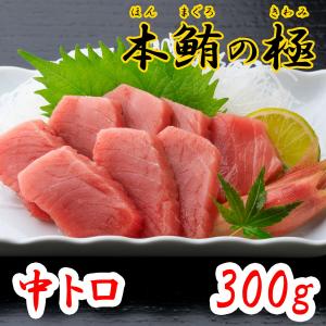 本マグロ マグロ中トロ 刺身 約230g (2〜3人前) 本まぐろ 中トロ 生