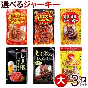 オキハムの選べるジャーキー 大 3個セット （ネコポス送料無料）｜nanaya